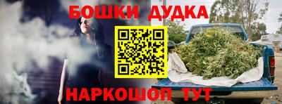 ешки Кингисепп