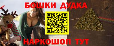 ешки Кингисепп