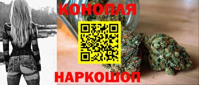 ешки Кингисепп