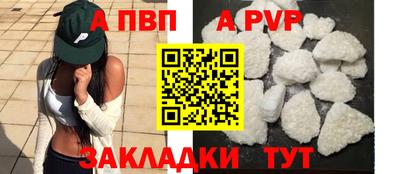 ешки Кингисепп