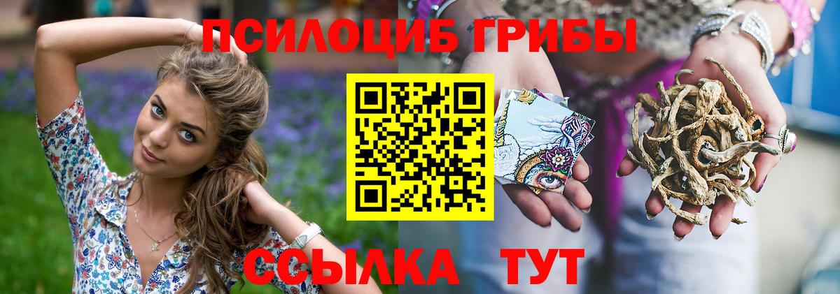 Псилоцибиновые грибы MAGIC MUSHROOMS Кизилюрт