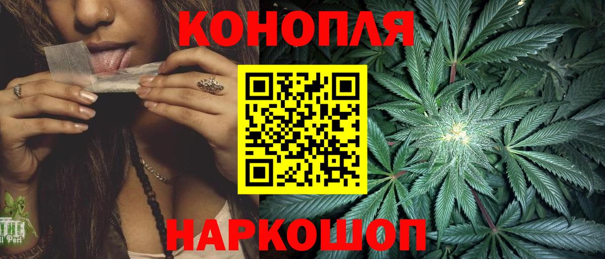 Конопля тримм Кизилюрт